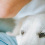 Семейный досуг с программами лояльности казино без депозита