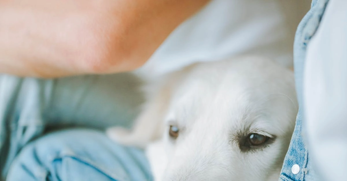 Семейный досуг с программами лояльности казино без депозита